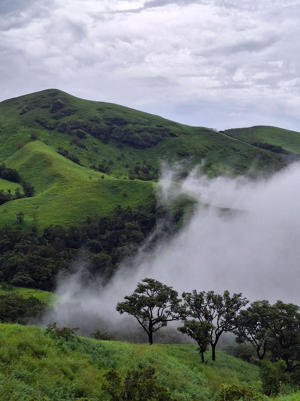 Famous place to visit in Vagamon with pine forest and scenic landscape